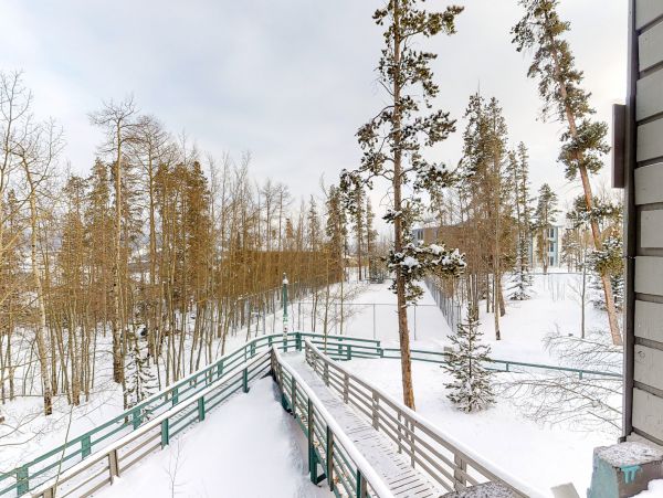 Breckenridge Condo 950578
