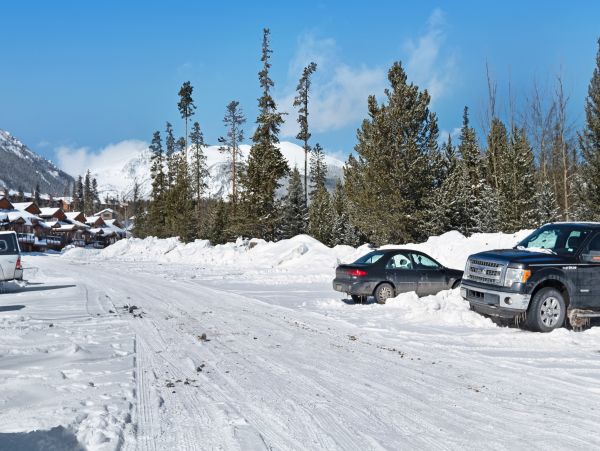 Breckenridge Condo 950578