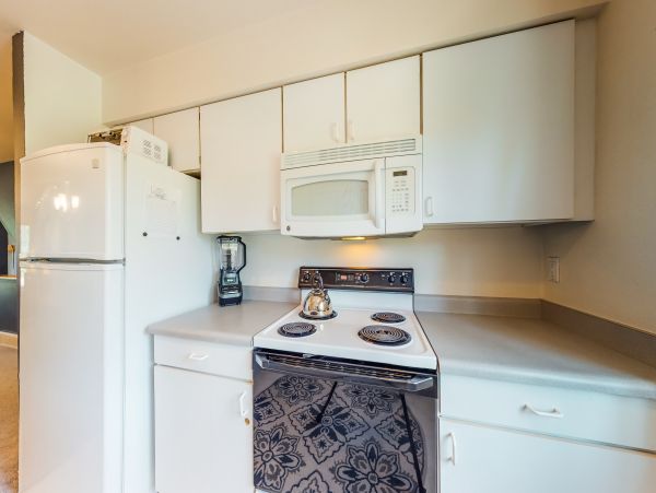 Breckenridge Condo 950581