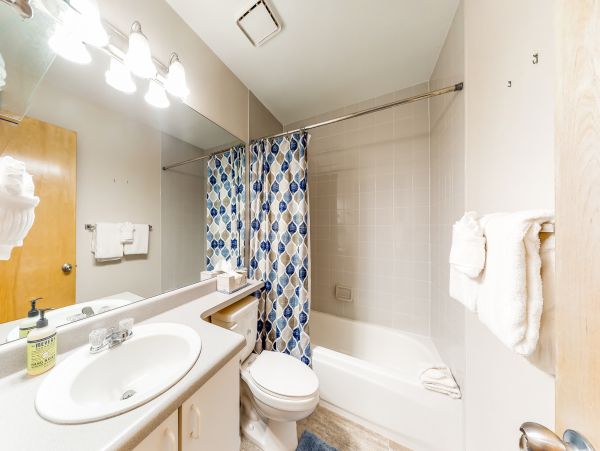 Breckenridge Condo 950581