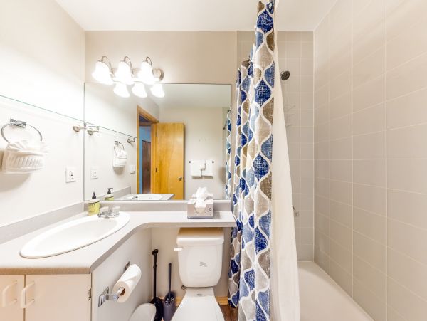 Breckenridge Condo 950581