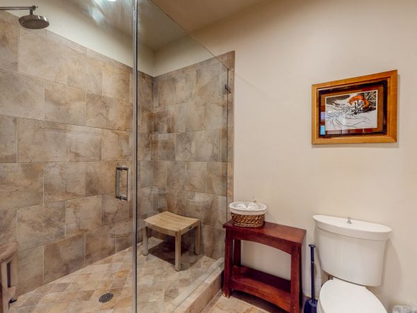 Breckenridge Condo 950584