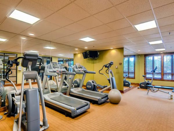 Breckenridge Condo 950584