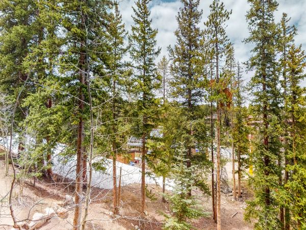Breckenridge Condo 950584