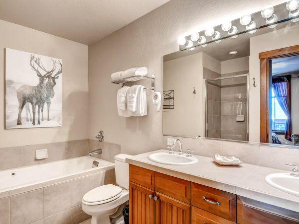 Breckenridge Condo 950585