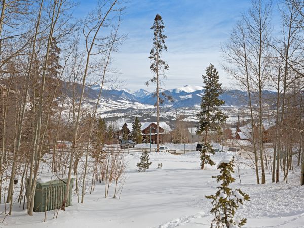 Breckenridge Condo 950586