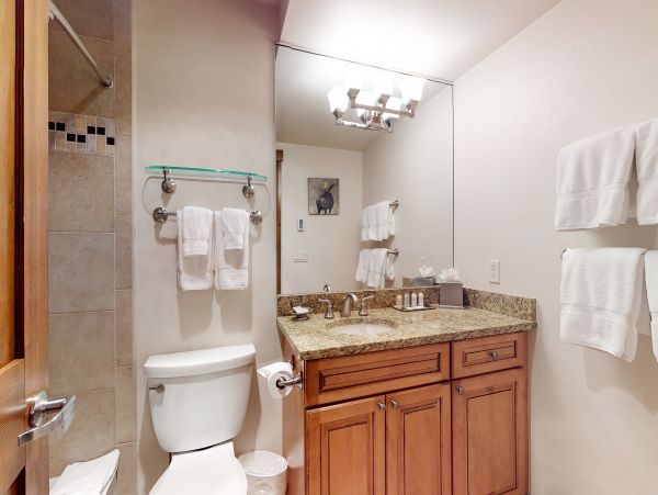 Vail Lionshead Condo 950587