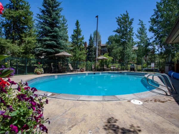 Steamboat Springs Condo 950588