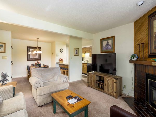 Steamboat Springs Condo 950600