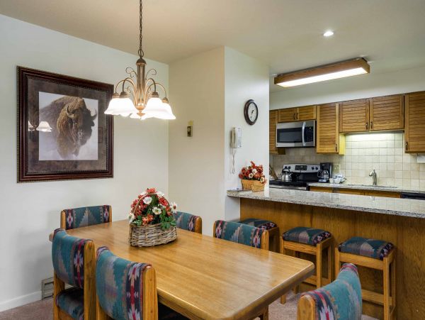 Steamboat Springs Condo 950600