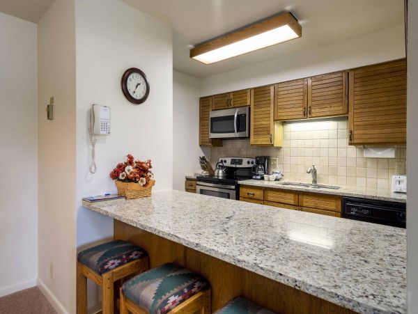 Steamboat Springs Condo 950600