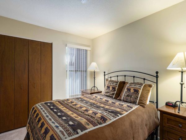 Steamboat Springs Condo 950600