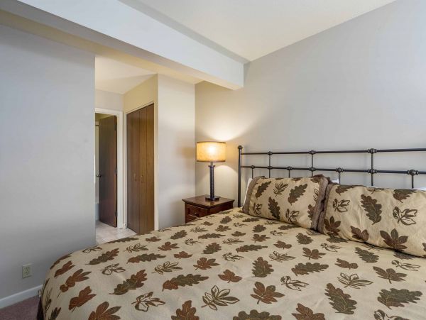 Steamboat Springs Condo 950600
