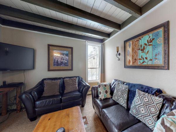 Breckenridge Condo 950601