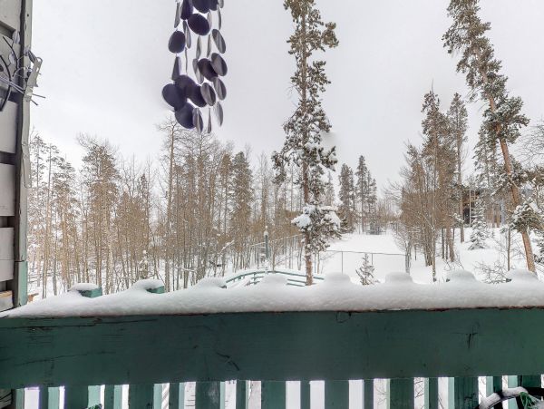 Breckenridge Condo 950601