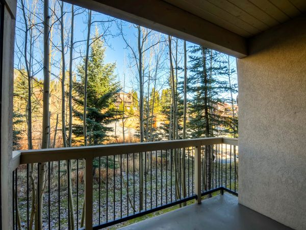 Breckenridge Condo 950608