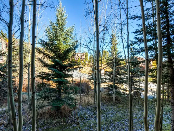 Breckenridge Condo 950608
