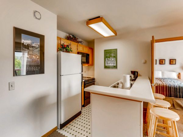 Breckenridge Condo 950609