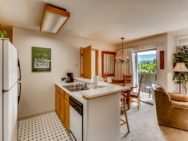Breckenridge Condo 950609