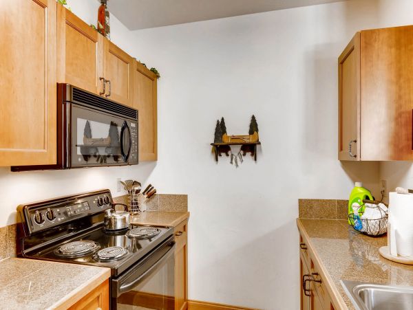 Breckenridge Condo 950610