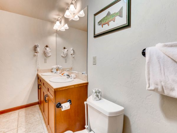 Breckenridge Condo 950610