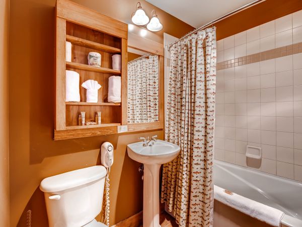 Breckenridge Condo 950622