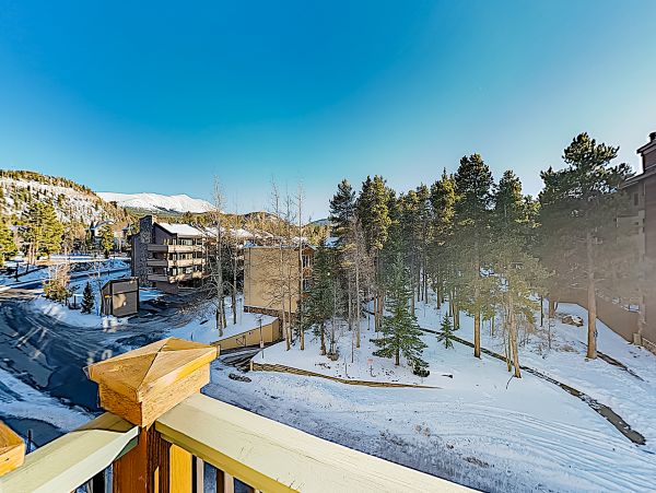 Breckenridge Condo 950623