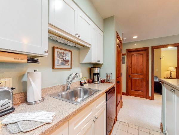 Vail Lionshead Condo 950625