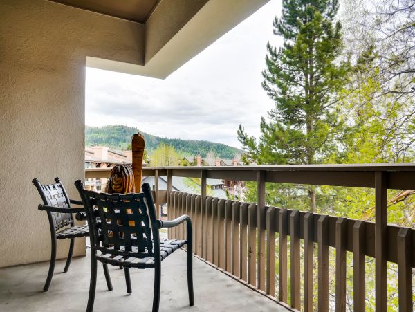 Steamboat Springs Condo 950631