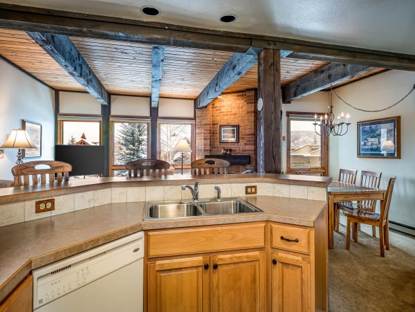 Steamboat Springs Condo 950634