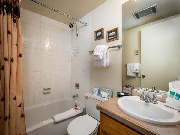 Steamboat Springs Condo 950634