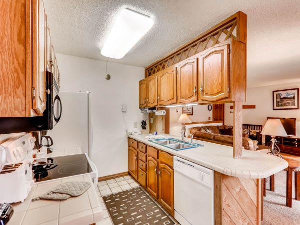 Steamboat Springs Home 950636