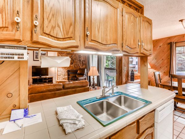 Steamboat Springs Home 950636