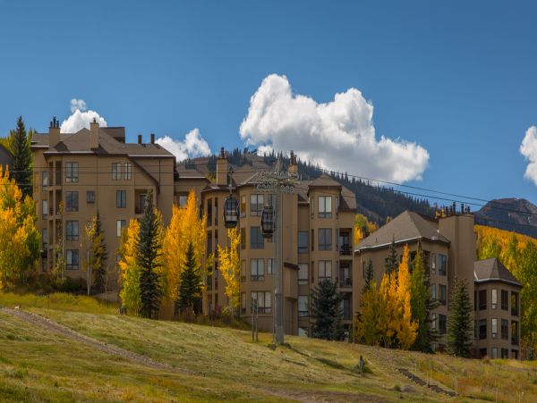 Snowmass Condo 950642