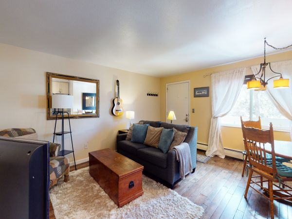 Breckenridge Condo 950646