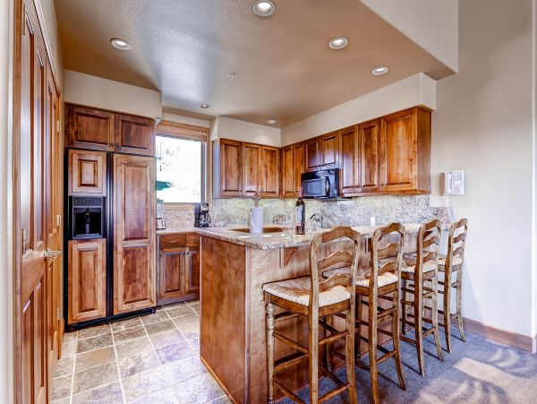 Steamboat Springs Condo 950649