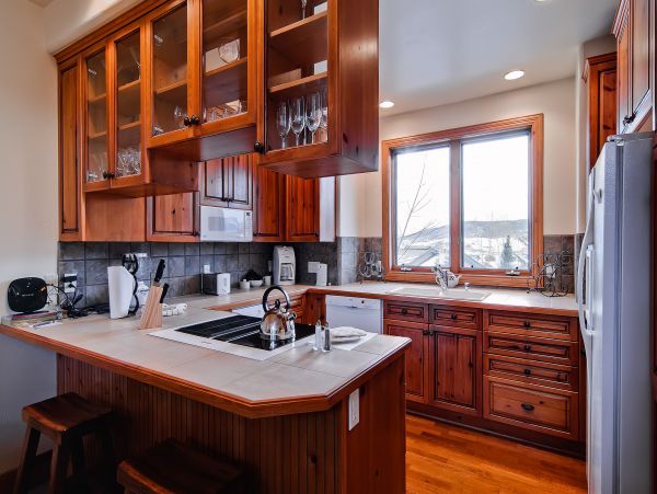 Steamboat Springs Condo 950651