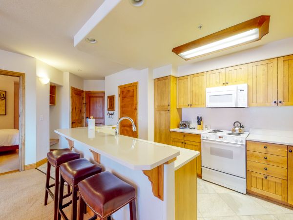 Steamboat Springs Condo 950653