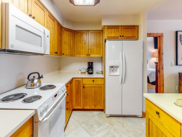 Steamboat Springs Condo 950653