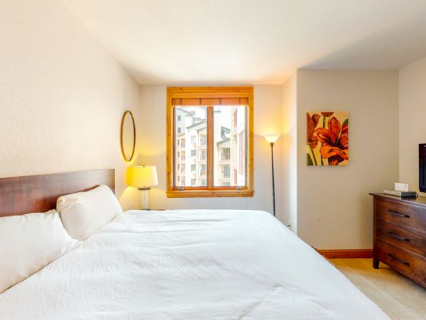 Steamboat Springs Condo 950653