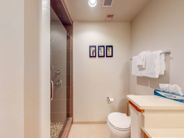Steamboat Springs Condo 950653
