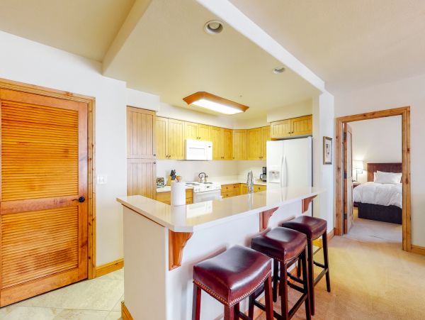 Steamboat Springs Condo 950653