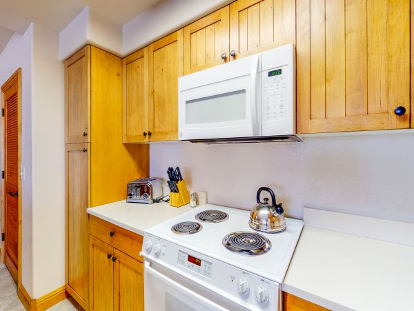 Steamboat Springs Condo 950653