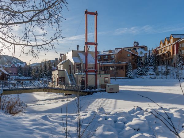 Breckenridge Condo 950657