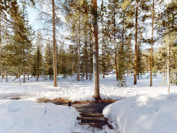Breckenridge Home 950658