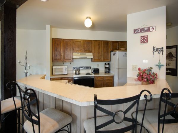 Steamboat Springs Condo 950659