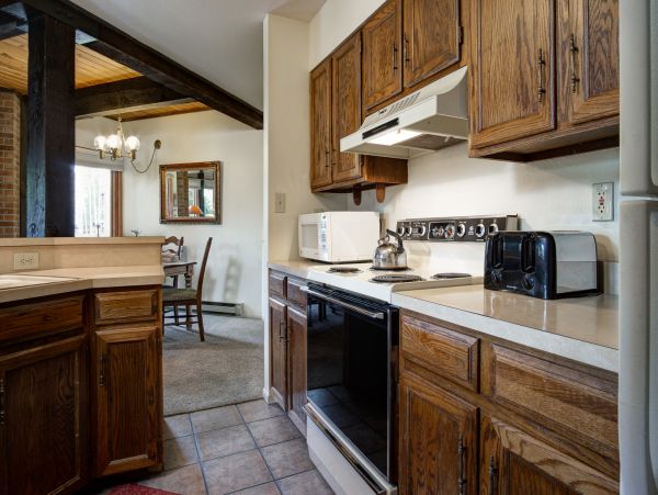 Steamboat Springs Condo 950659