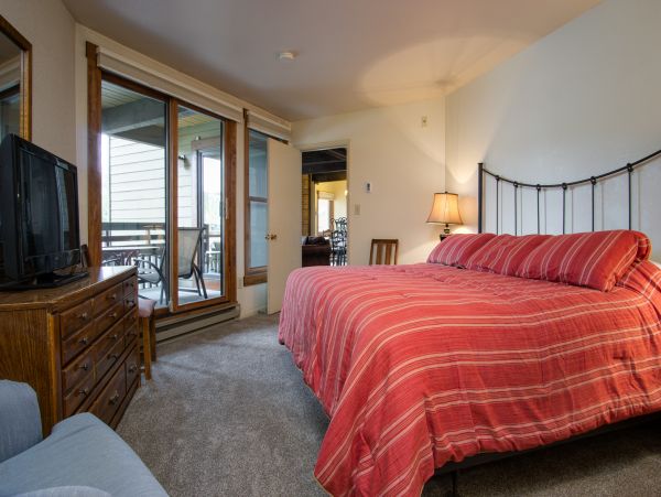 Steamboat Springs Condo 950659