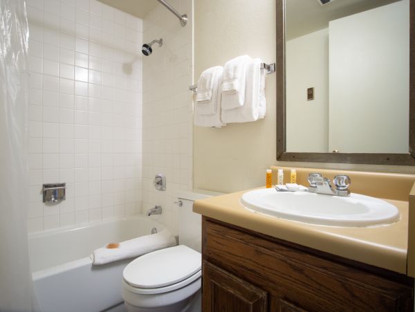 Steamboat Springs Condo 950659