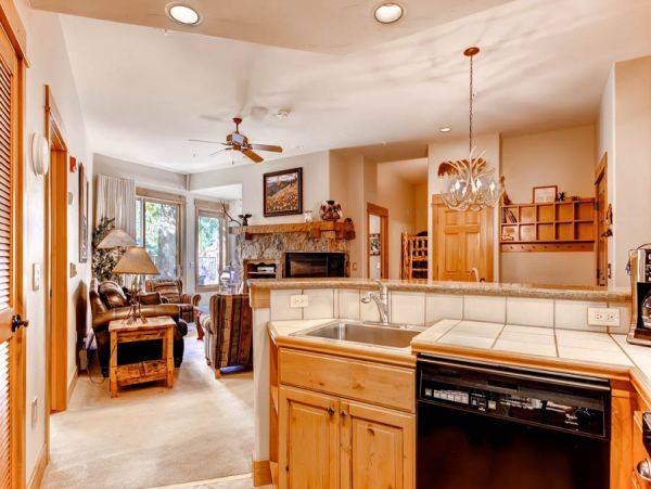 Steamboat Springs Condo 950660